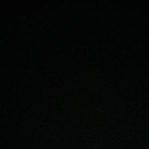 Meet your Posher, George